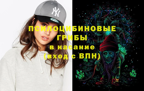 эйфоретик Баксан