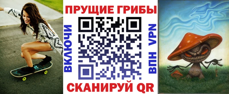 магазин наркотиков Красный Холм Галлюциногенные грибы Psilocybine cubensis