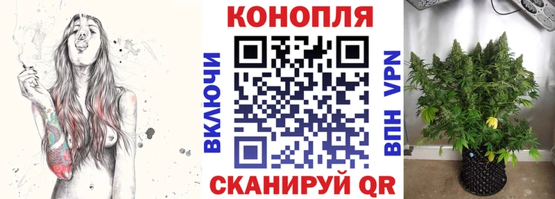 Марихуана индика Красный Холм